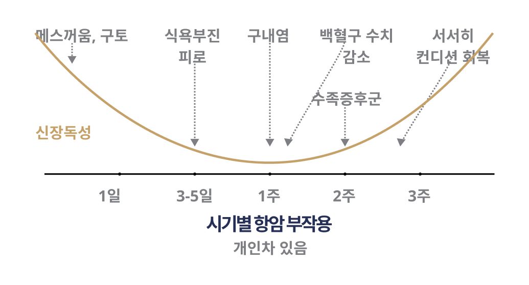 시기별 항암 부작용 (개인차 있음)